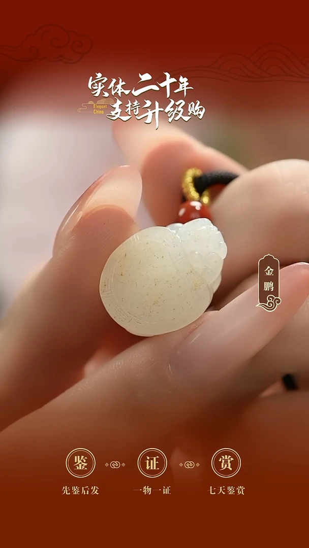 吊坠(赠链)未镶嵌和田玉白玉龙龟挂件7.97g