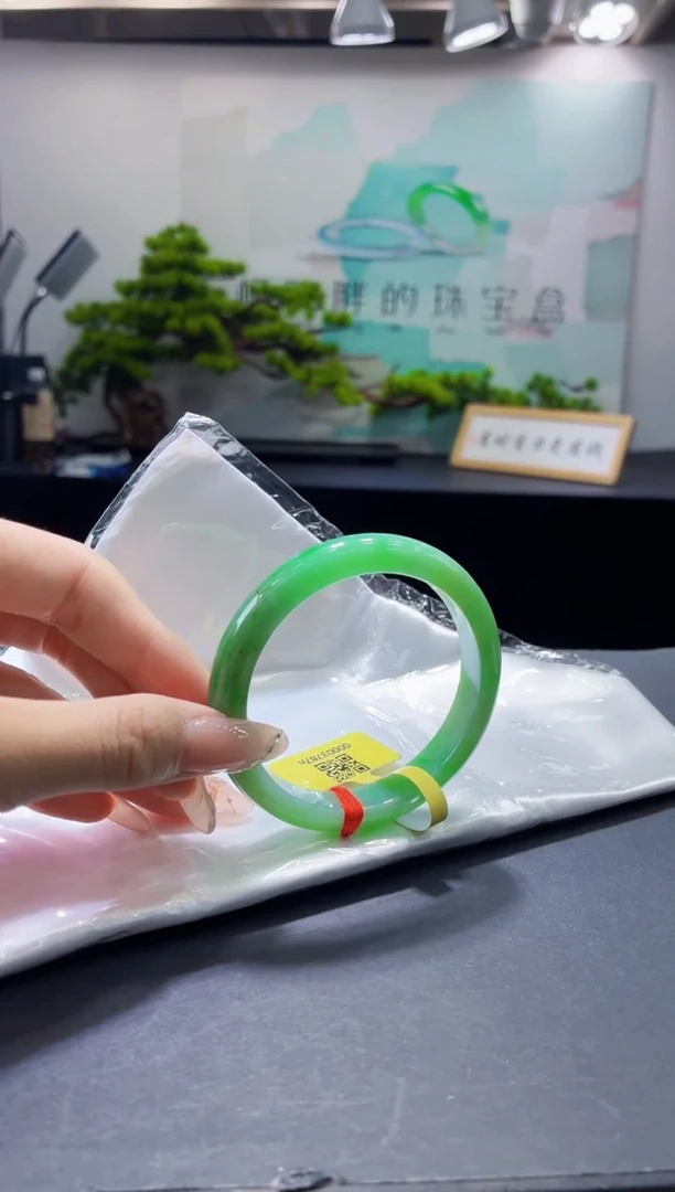未镶嵌手镯翡翠2
