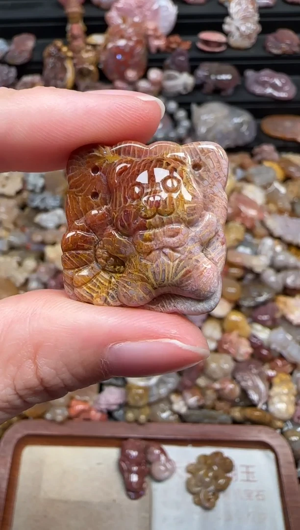 颈饰未镶嵌硅化珊瑚（珊瑚玉）636