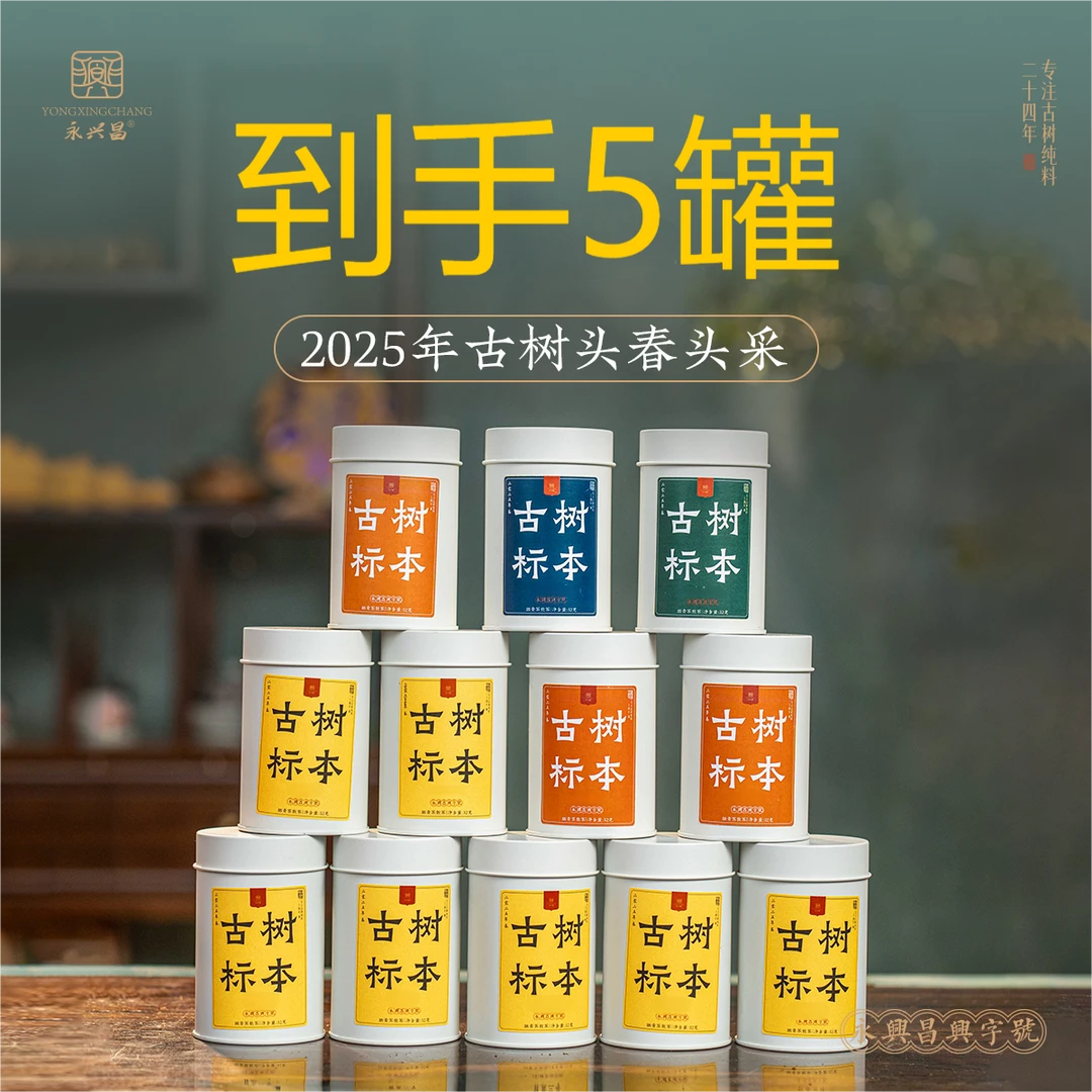 新人福利2025古树标本32g1号-5号——精选古树春茶普洱生茶