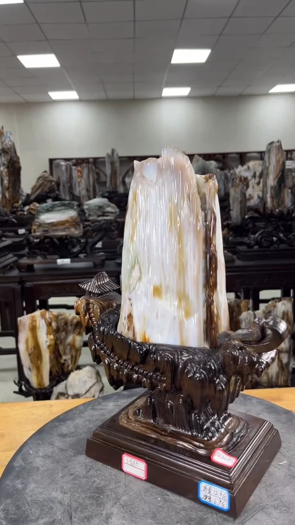 【闪购商品】硅化玉珠宝奇石未镶嵌1