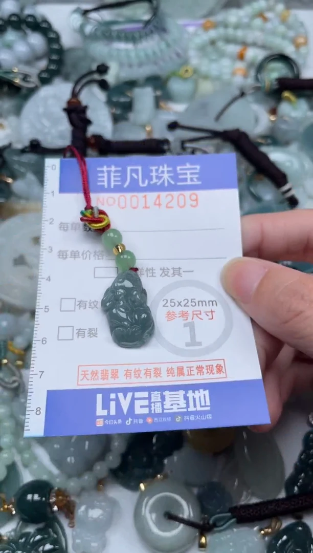 颈饰未镶嵌翡翠14209