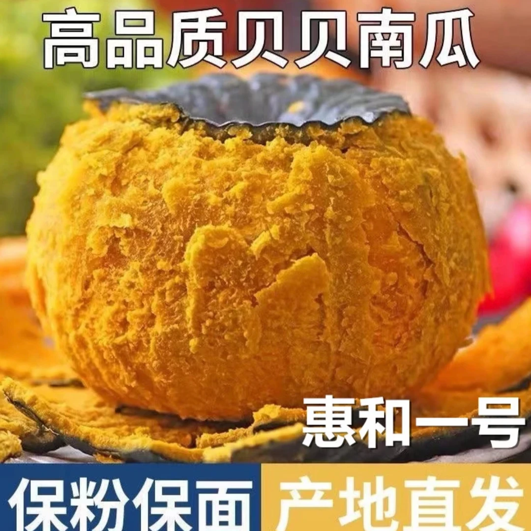 山东潍坊正宗贝贝南瓜粉糯香甜板栗味现摘现发迷你小南瓜3斤好吃