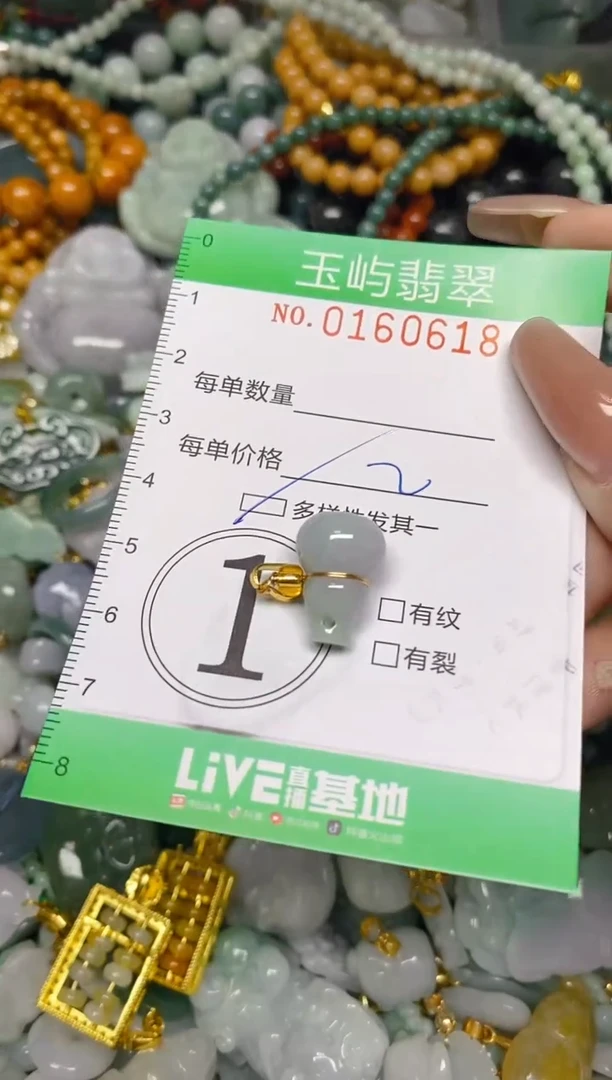 翡翠未镶嵌颈饰闪购0160618多样性发其一