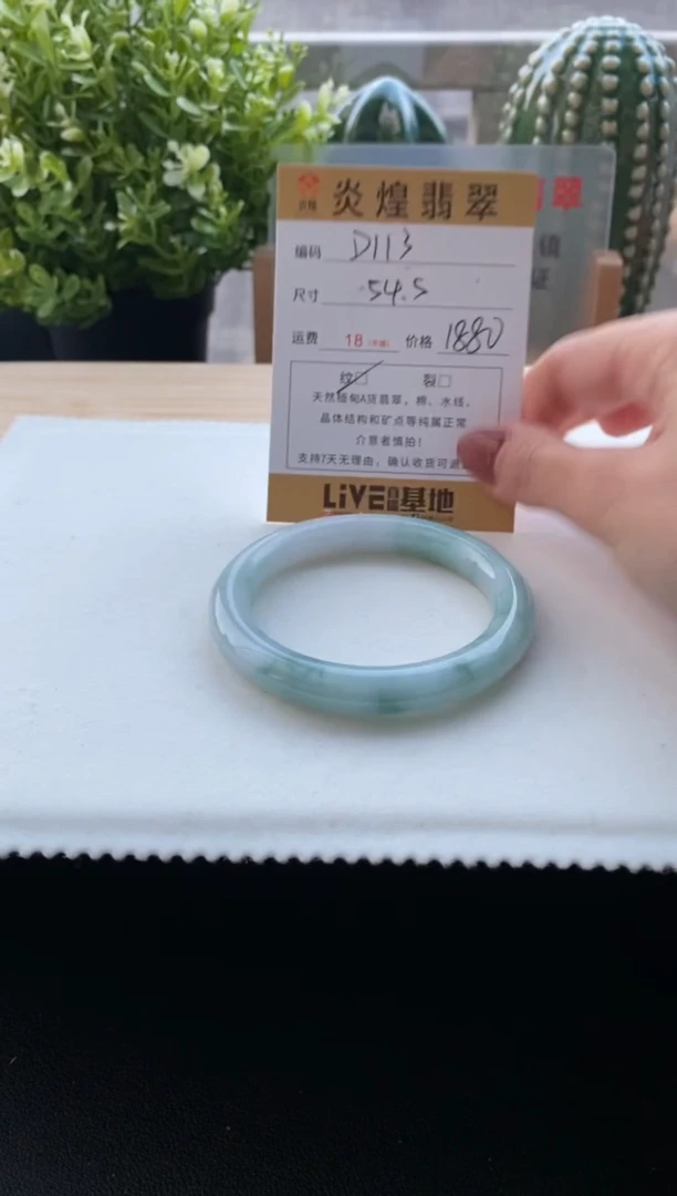 未镶嵌手镯翡翠若****见54.5圈号 编码D113
