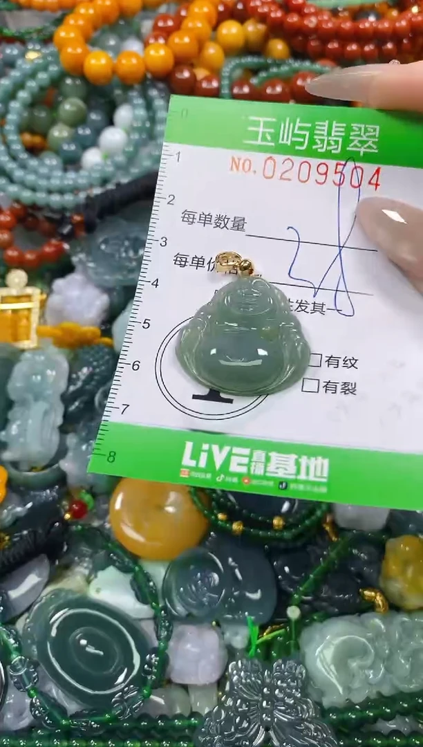 颈饰未镶嵌翡翠闪购0209504