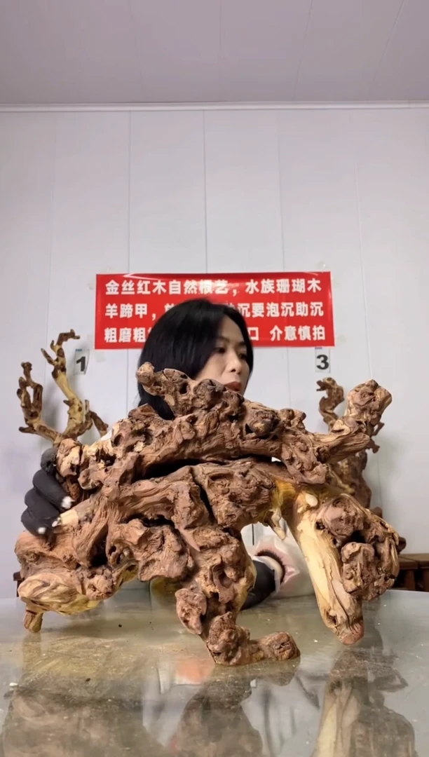 【闪购商品】木50金丝红木 羊蹄甲