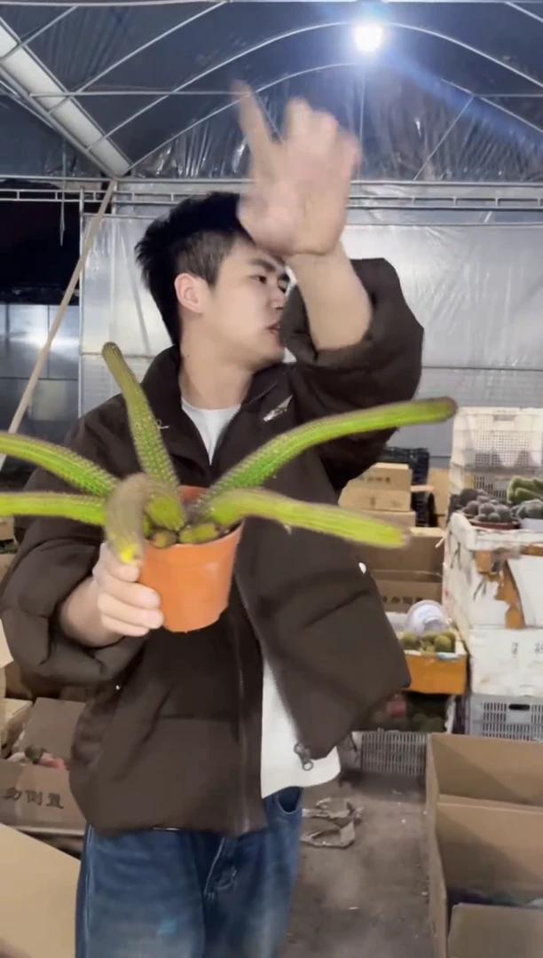 【闪购商品】多头垂钓金妞