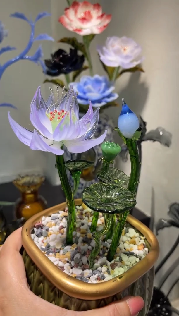 琉璃38荷花