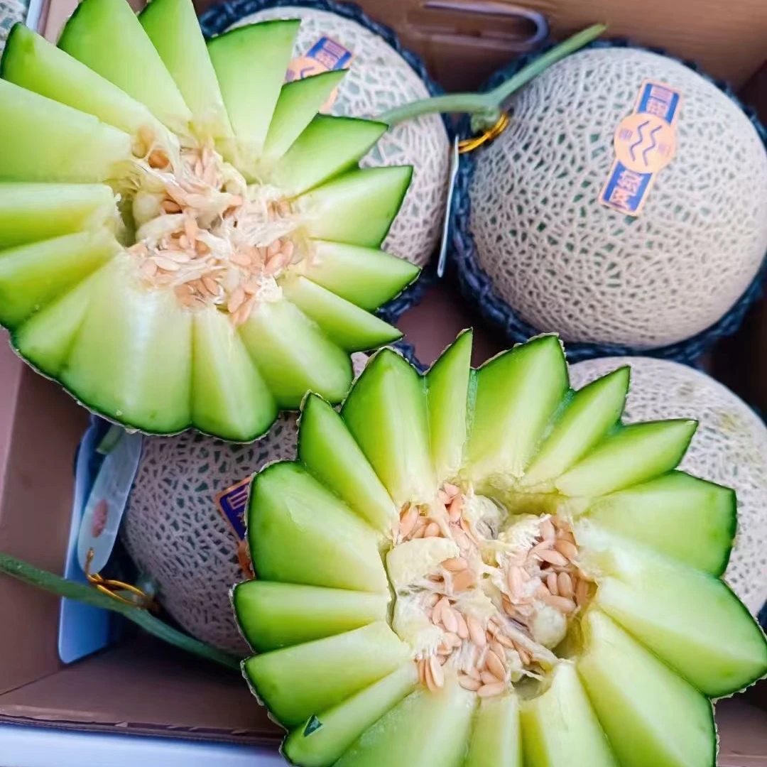 静冈网纹瓜 净重2.5斤甜瓜