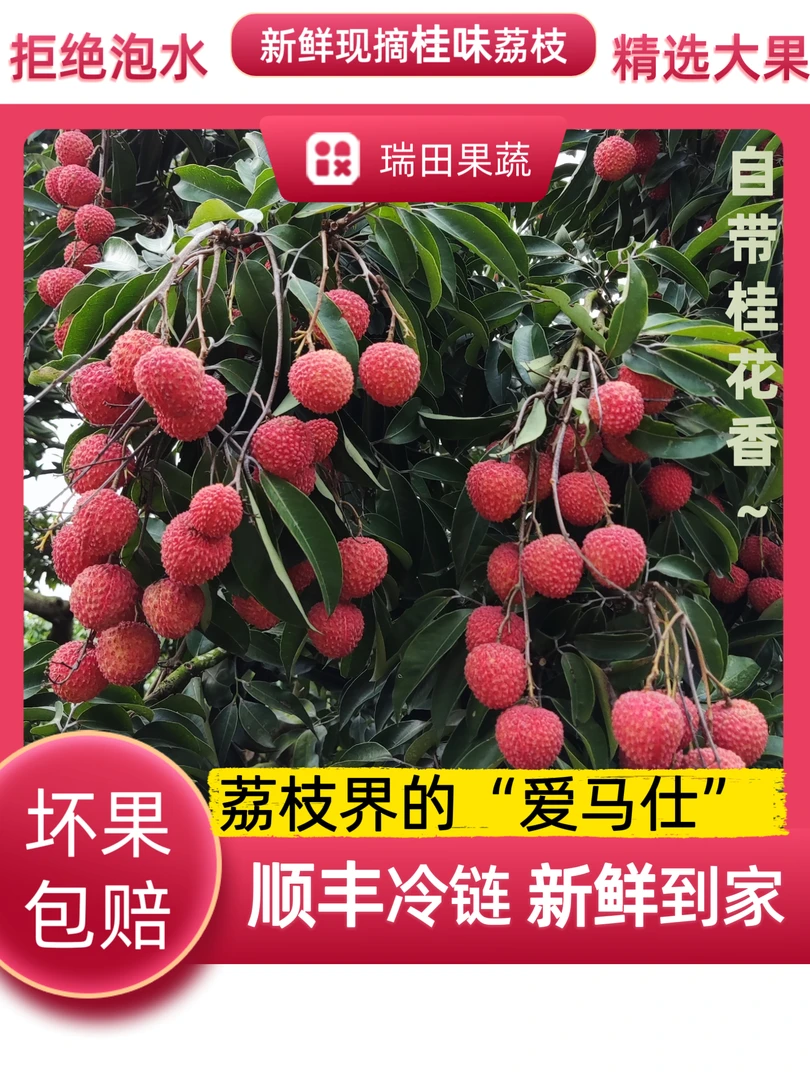 【桂味荔枝+顺丰助农】正宗桂味荔枝当季鲜果清甜核小肉厚冷链发货