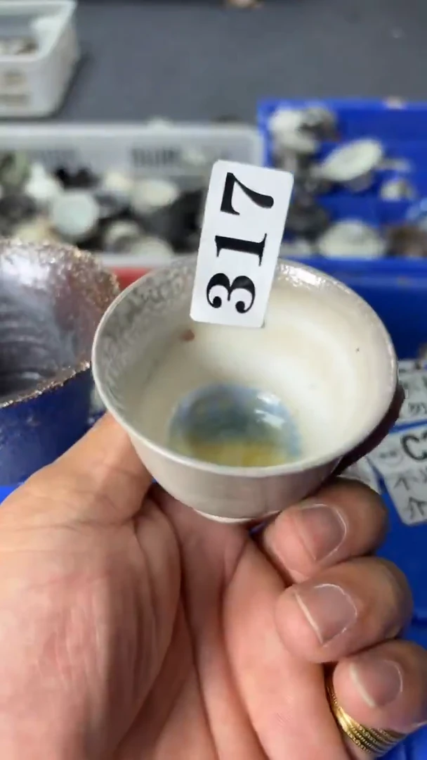 瑕疵品不退不换317