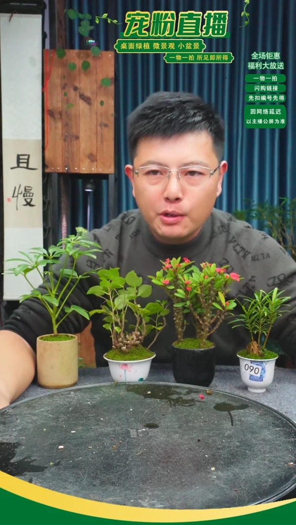 无花朵醉**端苔藓微景观090号