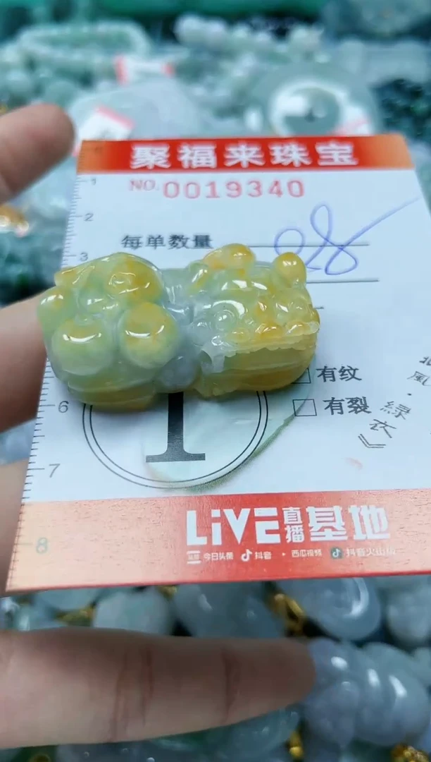 【闪购商品】翡翠颈饰未镶嵌闪购0019340