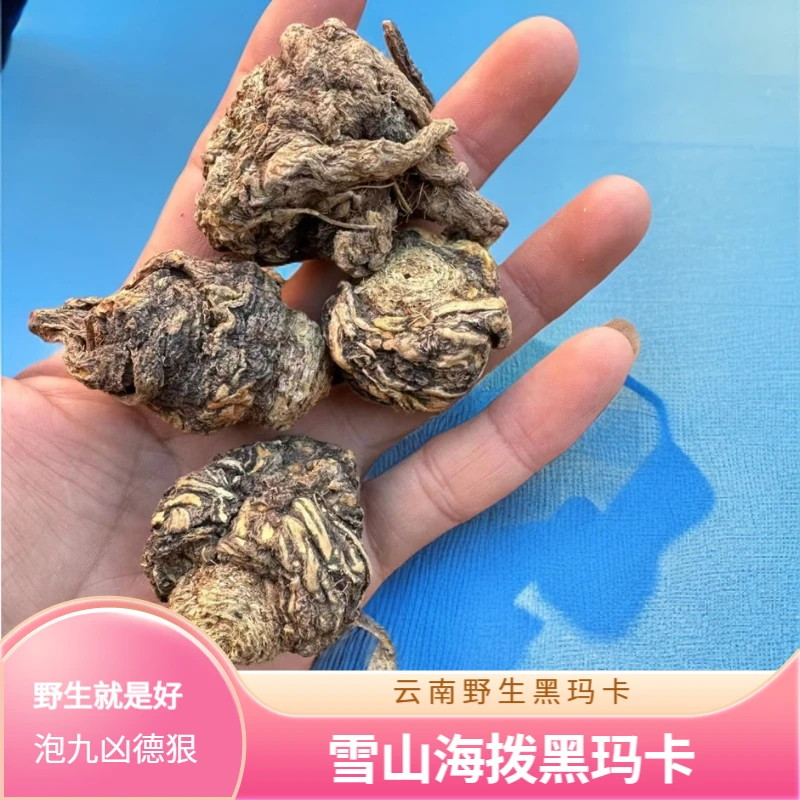{分水岭推荐}买一斤送一斤云南野生黑玛卡干果500g干果干片250g