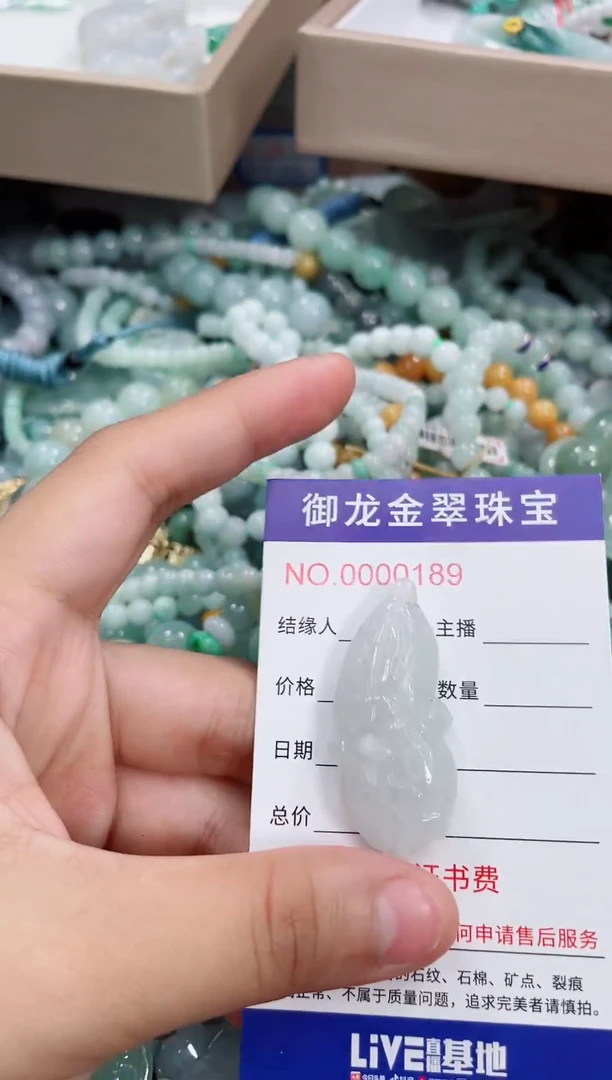 翡翠未镶嵌颈饰031