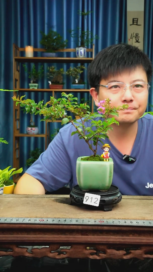无花朵苔藓微景观912号