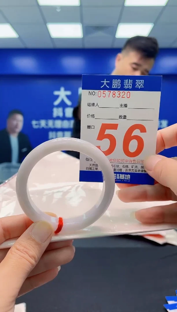 未镶嵌手镯翡翠AAAAAAAAA