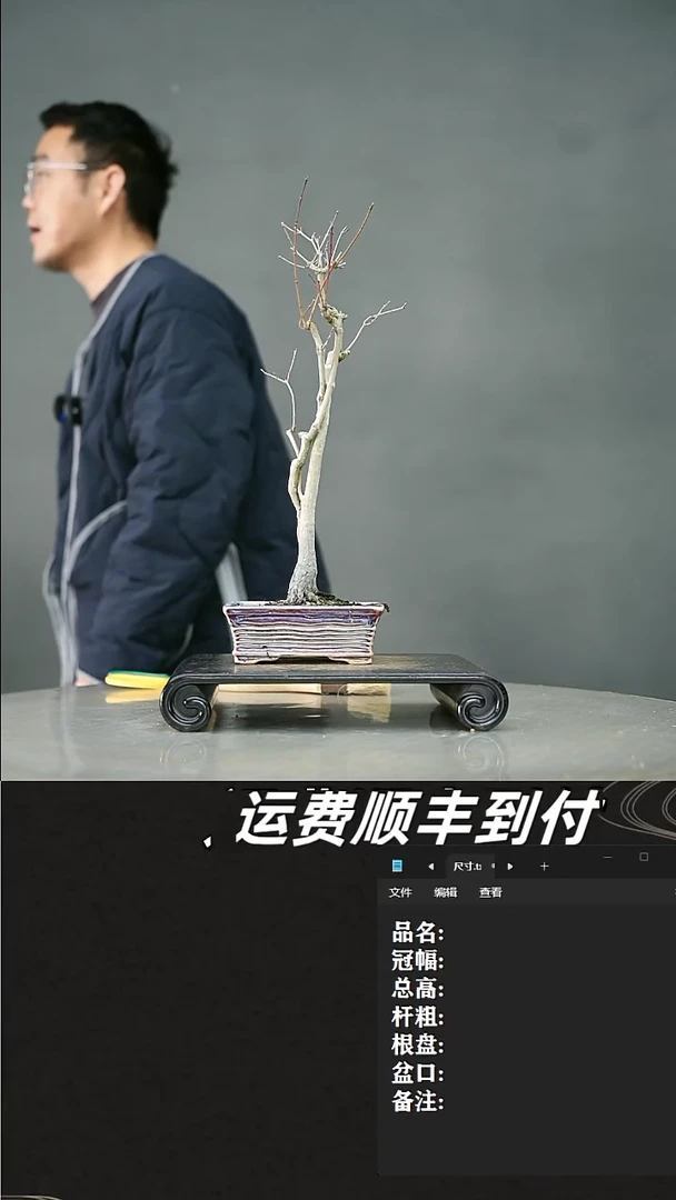 【闪购商品】46山红叶
