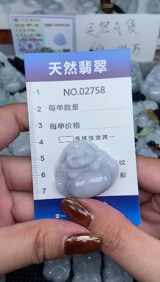 颈饰未镶嵌翡翠纯天然A货翡翠2758