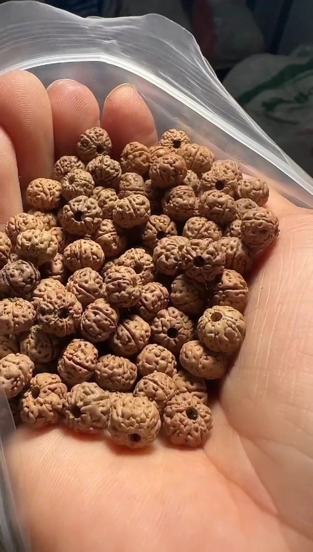 手串金刚菩提非全品老树王散籽8-9mm一份一百颗