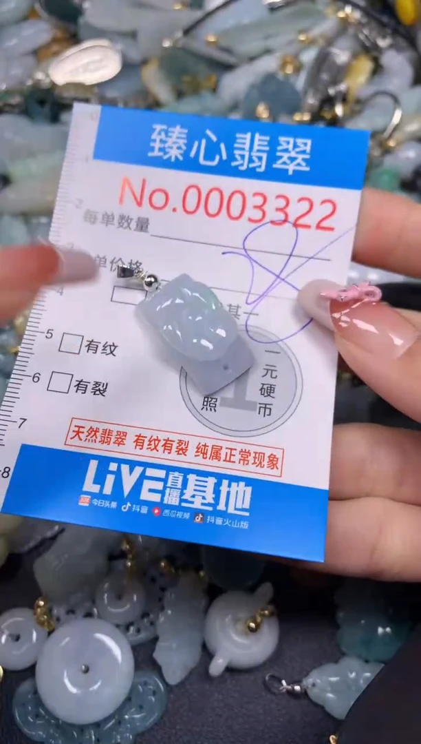 【闪购商品】翡翠颈饰未镶嵌含绳0003322