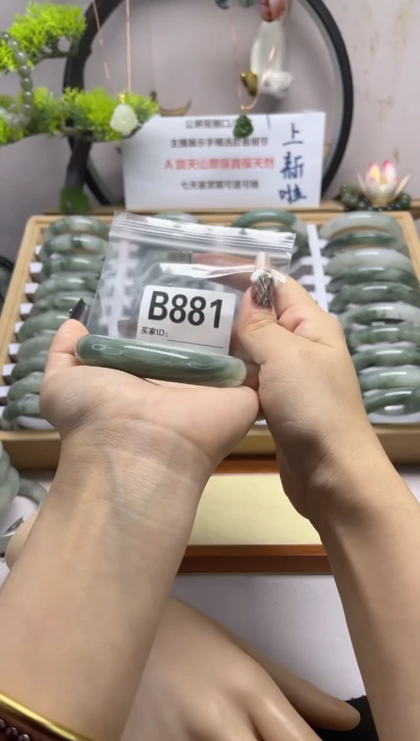 【闪购商品】石英质玉（天山翠）手镯未镶嵌b881