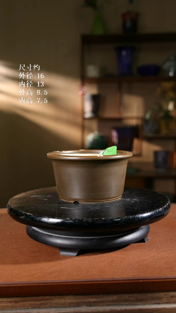 621    S1新款小圆盆