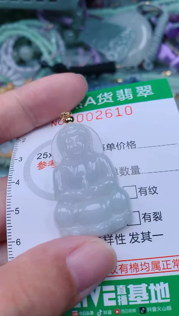 翡翠未镶嵌颈饰.0002610