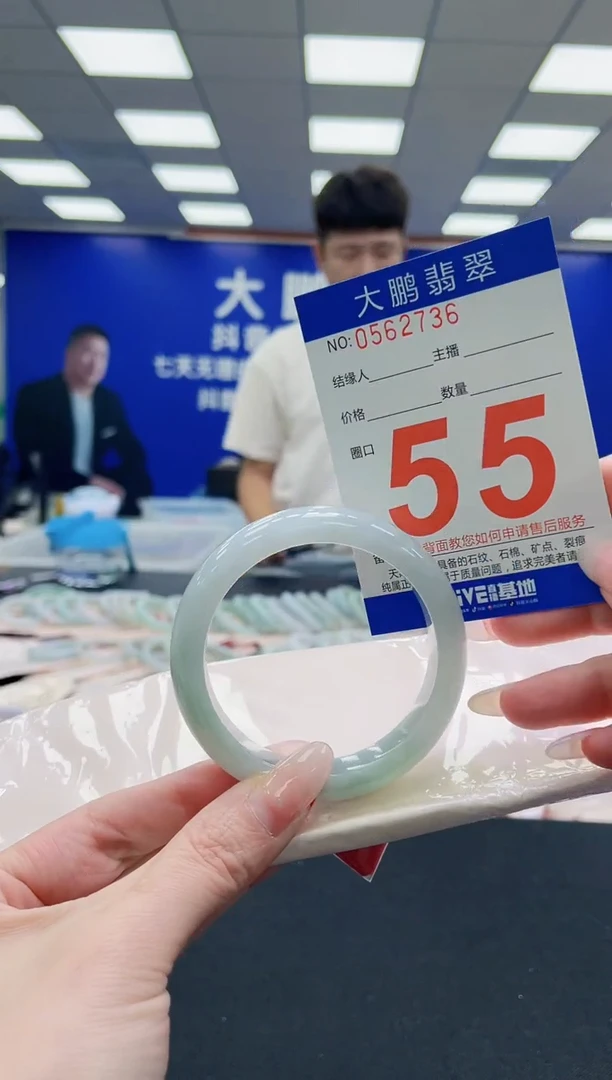 未镶嵌手镯翡翠AAAAAAAAA