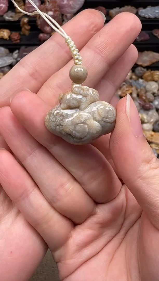 硅化珊瑚（珊瑚玉）未镶嵌颈饰225