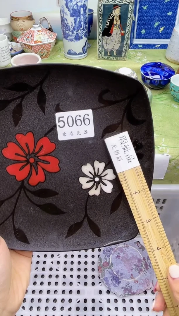 瓷片为           5066