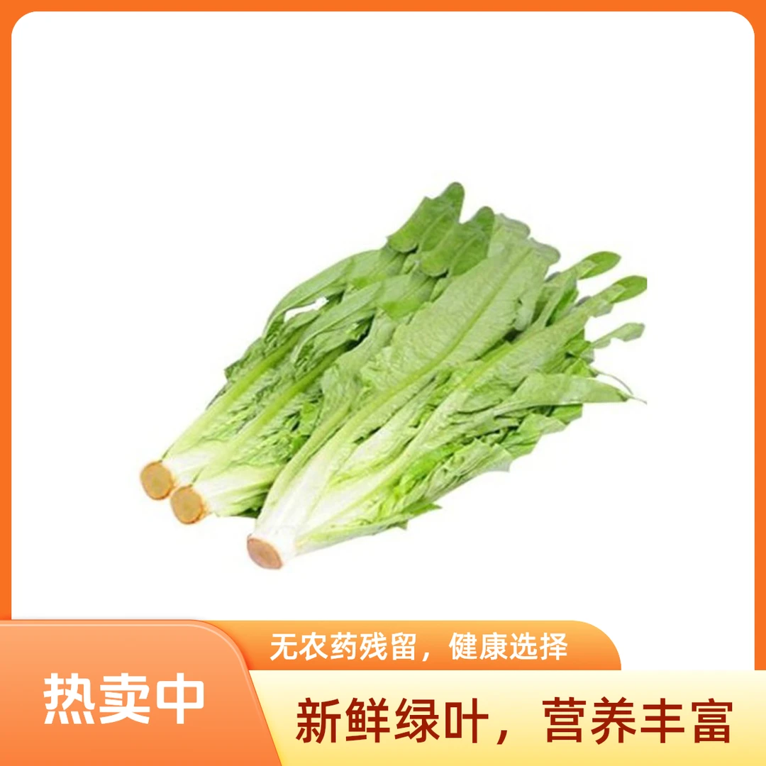 油麦菜 | 约500g油麦菜