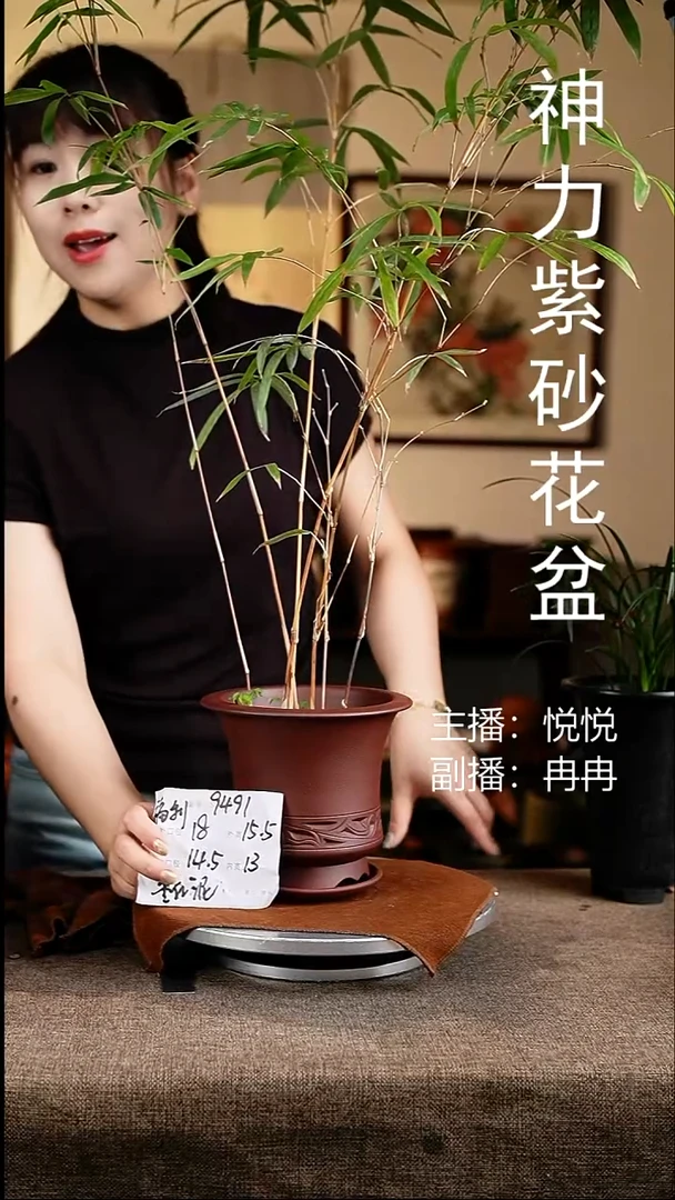 紫砂花盆花卉工艺9491+z