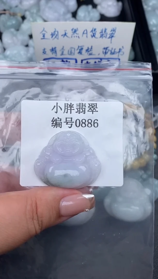 翡翠未镶嵌颈饰缅甸天然A货翡翠0886