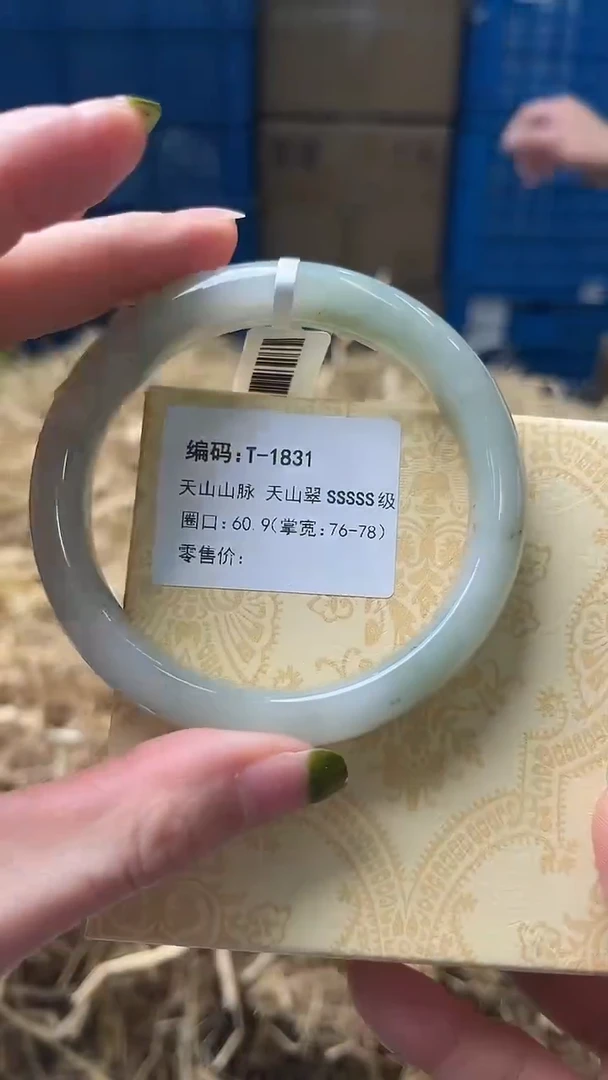 未镶嵌手镯石英质玉T1831