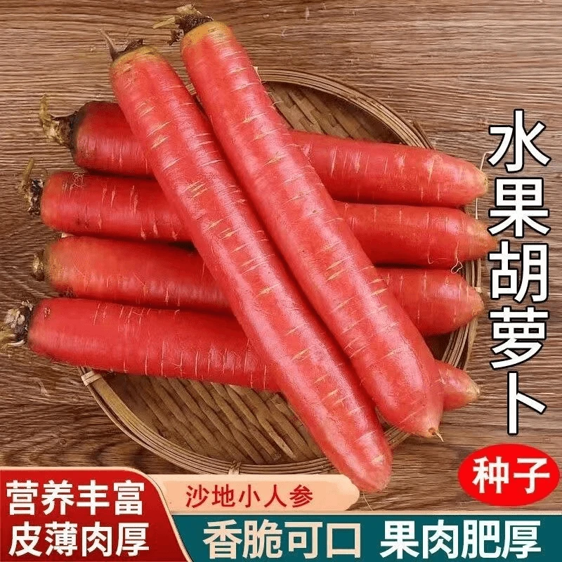 【全店满5包包邮】水果胡萝卜种子四季播种红萝卜种籽甜脆红胡萝