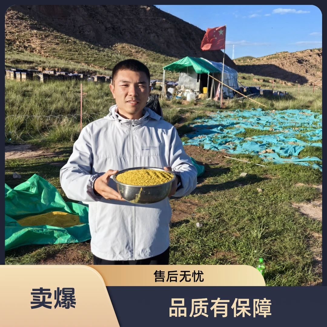 【喂蜂花粉100斤】直播间拍天然纯蜂蜜批发纯正大桶人食用正宗