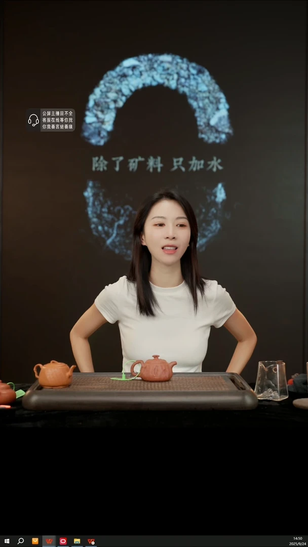 茶壶紫砂紫砂茶壶灵芝供春