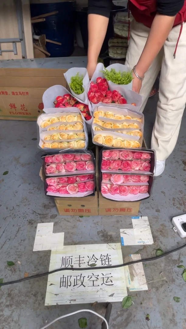 艾沙20枝+香槟20枝+爱丽丝10枝+黄莺