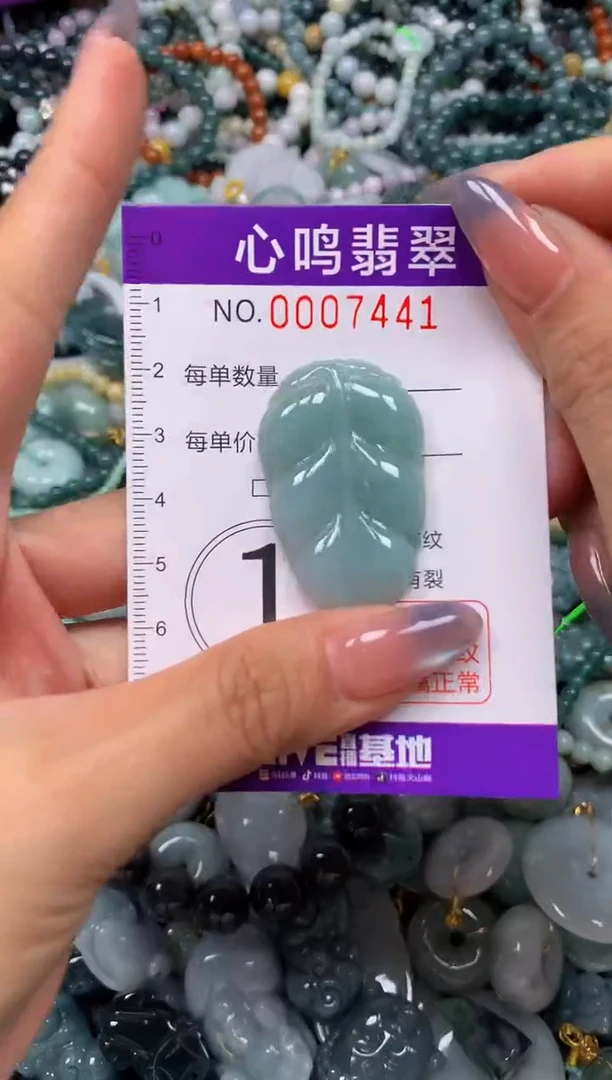 颈饰未镶嵌翡翠闪购007441