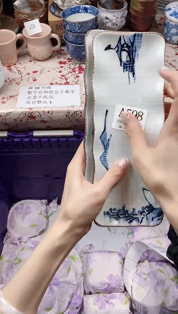 瓷片?            A598