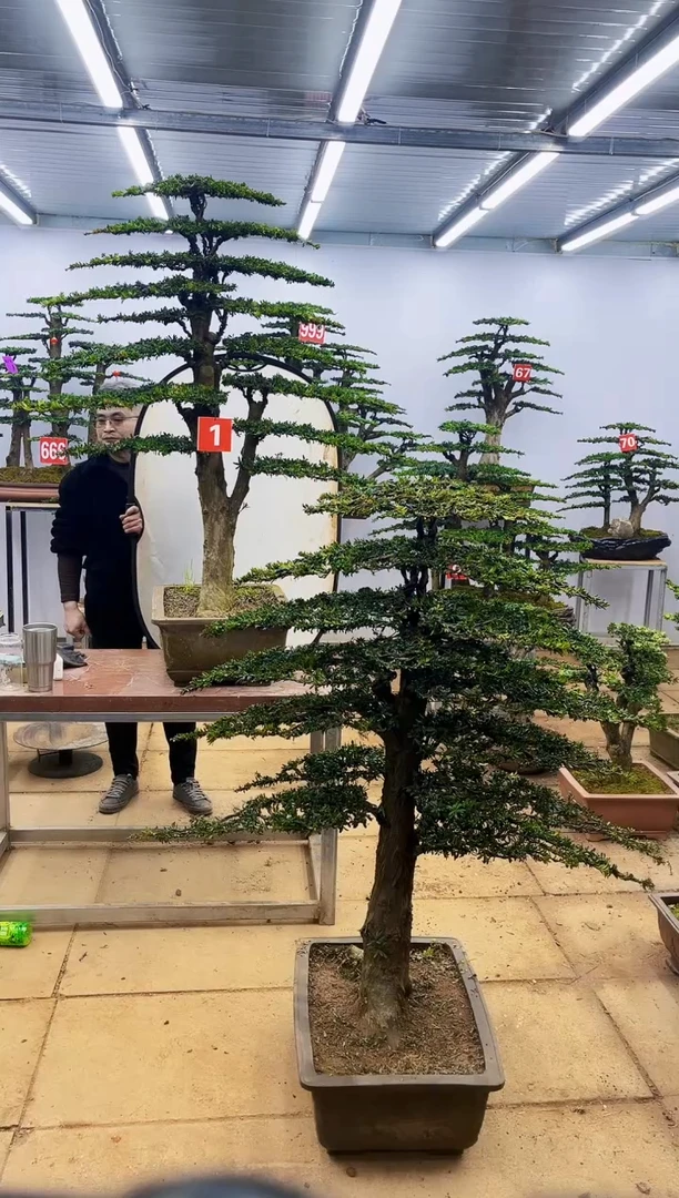 【闪购商品】0一物一拍，所见即所得