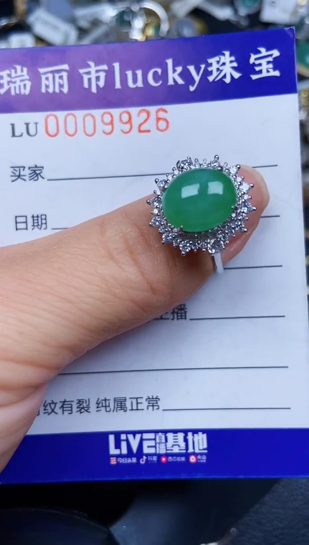 翡翠银S925镶嵌颈饰9926