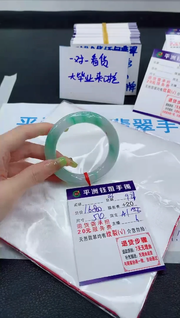 未镶嵌手镯翡翠1