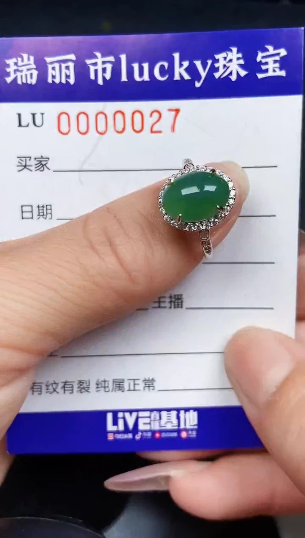 翡翠银S925镶嵌颈饰0027
