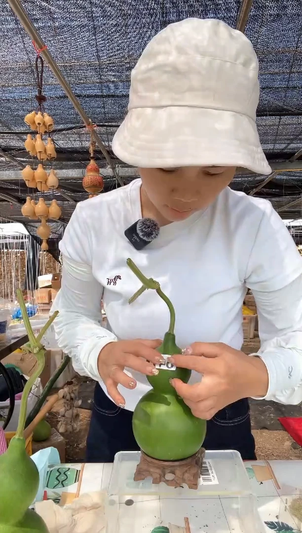 647天然葫芦摆件 一物一拍龙头不保售后