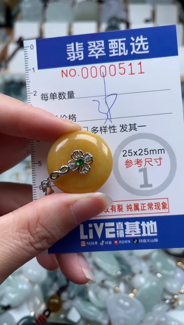 翡翠未镶嵌颈饰00..0511