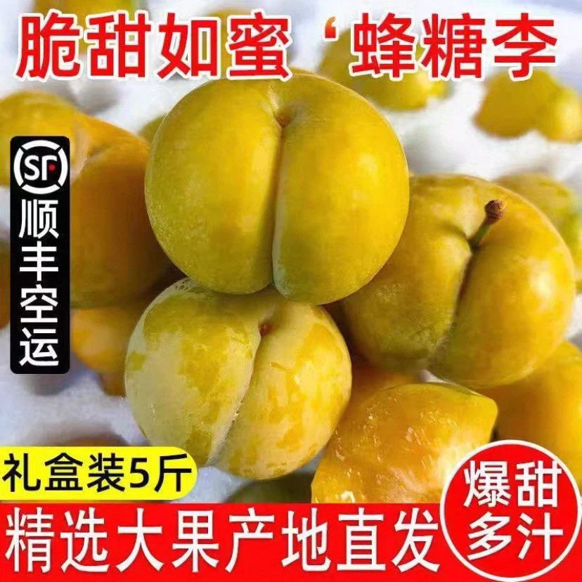 贵州正宗李子蜂糖李新鲜现摘现发脆甜多汁当季水果