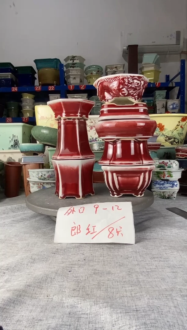 251905八只郎红花盆